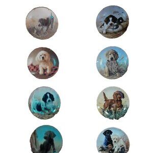 1989 Field Puppies Plate Collection Plates 1-8 By Lynn Kaatz with Boxes and COAs
